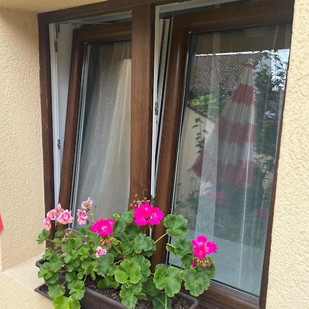 Kertre néző franciaágyas apartman Vác Extérieur photo
